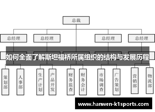如何全面了解斯坦福桥所属组织的结构与发展历程